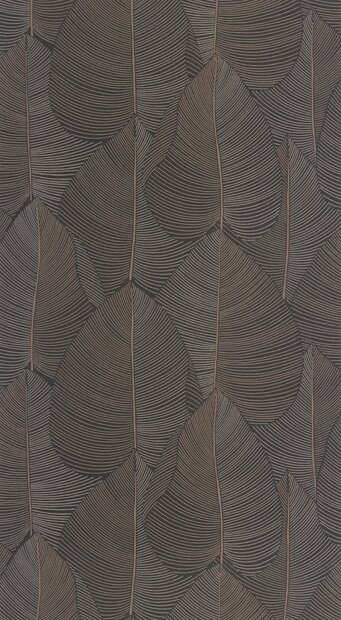 Caselio Light LIG106599105