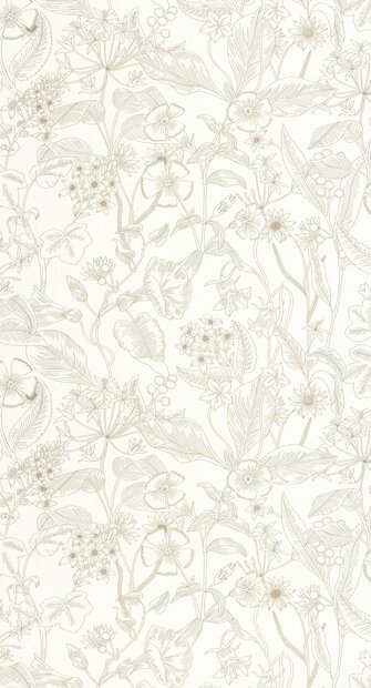 Caselio Light LIG106600026