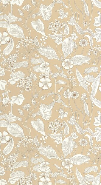 Caselio Light LIG106601010