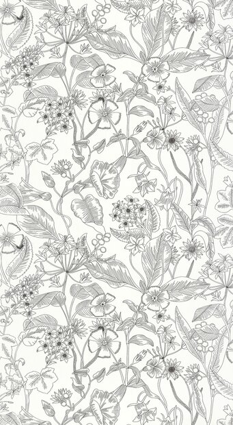 Caselio Light LIG106609090