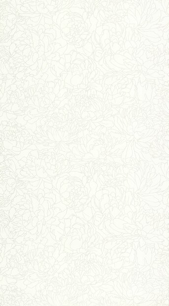 Caselio Light LIG106610017