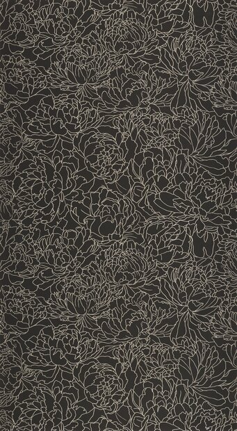 Caselio Light LIG106619021