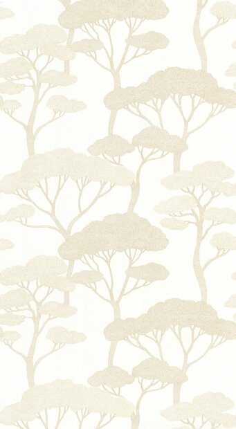 Caselio Light LIG106620000