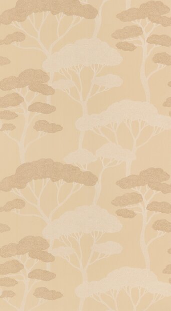 Caselio Light LIG106621017