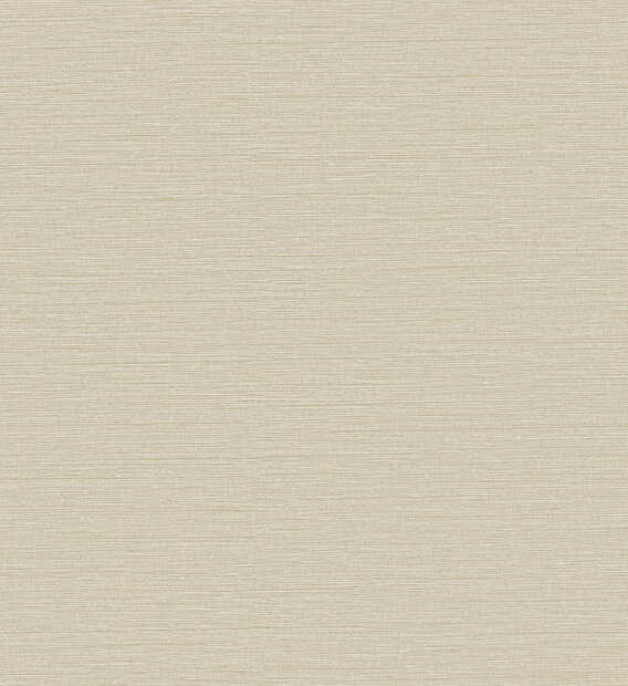 Arte Caf&eacute; Society (incl. Gratis Lijm*) CS41