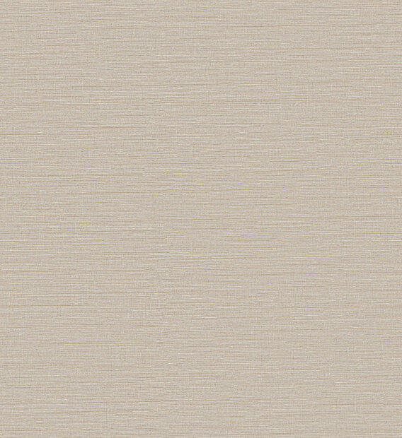 Arte Caf&eacute; Society (incl. Gratis Lijm*) CS44