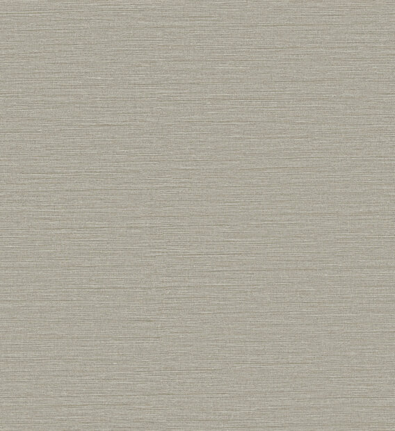 Arte Caf&eacute; Society (incl. Gratis Lijm*) CS45