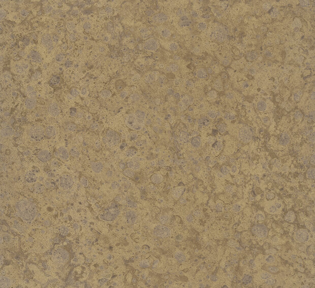 HookedOnWalls Material Matters (incl. Gratis Lijm*) 24730 Goud