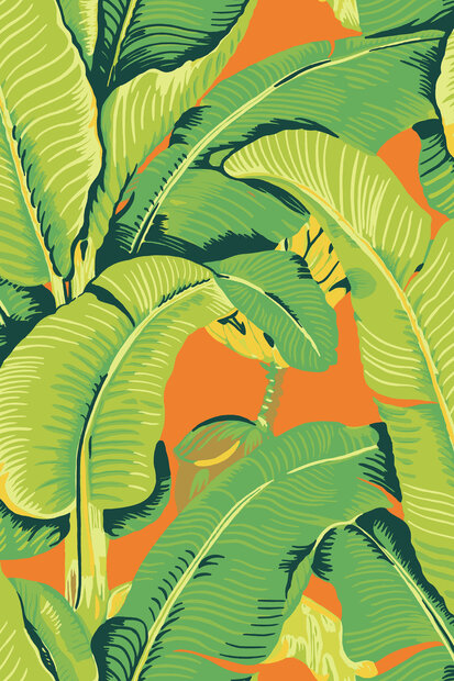 HookedOnWalls Scalamandre (incl. Gratis Lijm*) JV26012 Groen / Oranje