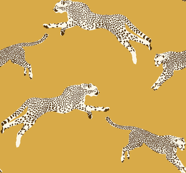 HookedOnWalls Scalamandre (incl. Gratis Lijm*) JV26020 Wit / Bruin / Geel