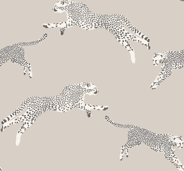 HookedOnWalls Scalamandre (incl. Gratis Lijm*) JV26022 Taupe / Grijs