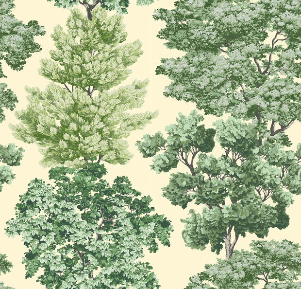 HookedOnWalls Scalamandre (incl. Gratis Lijm*) JV26040 Cr&egrave;me / Groen