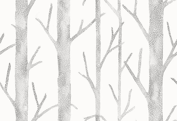 HookedOnWalls Scalamandre (incl. Gratis Lijm*) JV26045 Wit / Grijs