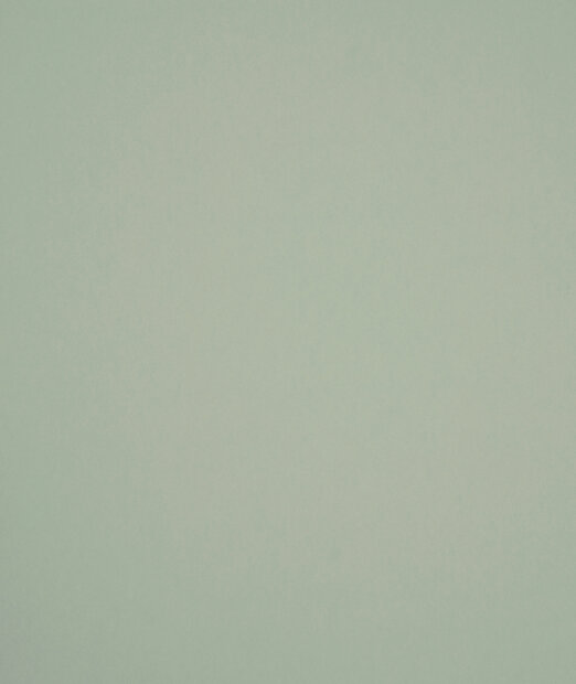 HookedOnWalls Young Traditionals (incl. Gratis Lijm*) 27853 Groen