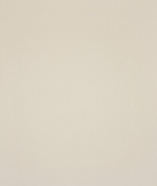 HookedOnWalls Young Traditionals (incl. Gratis Lijm*) 27854 Roze