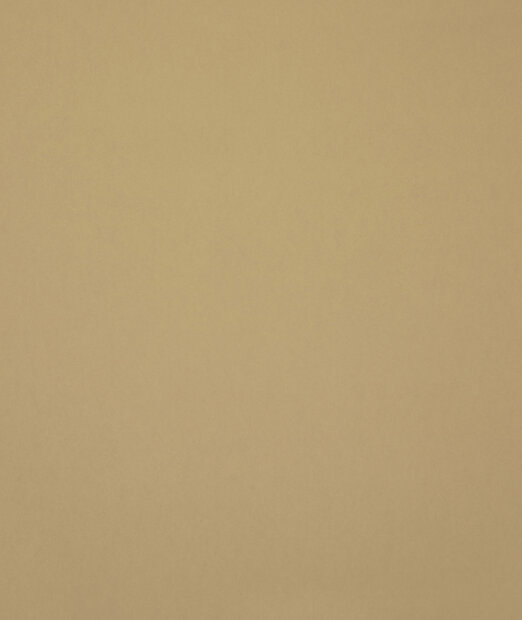 HookedOnWalls Young Traditionals (incl. Gratis Lijm*) 27850 Beige