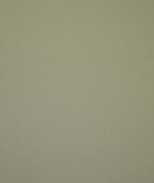 HookedOnWalls Young Traditionals (incl. Gratis Lijm*) 27851 Groen