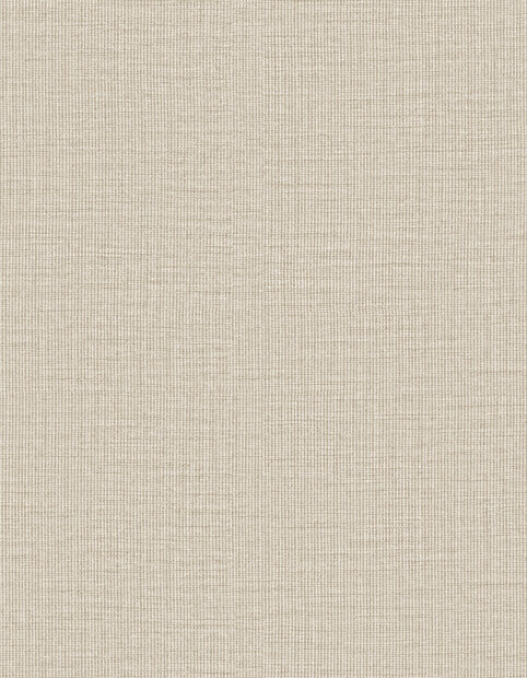 Arte Merino (incl. Gratis Lijm*) 63502 Beige / Cr&egrave;me