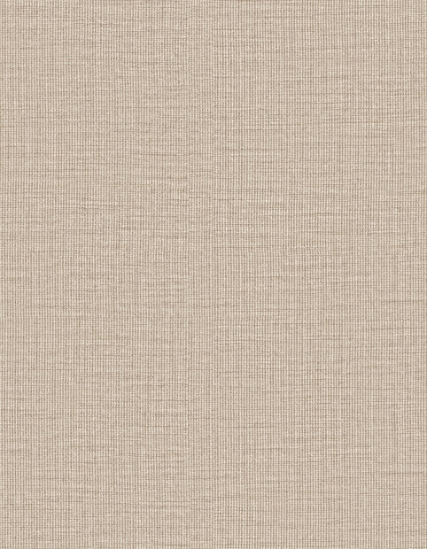 Arte Merino (incl. Gratis Lijm*) 63506 Beige