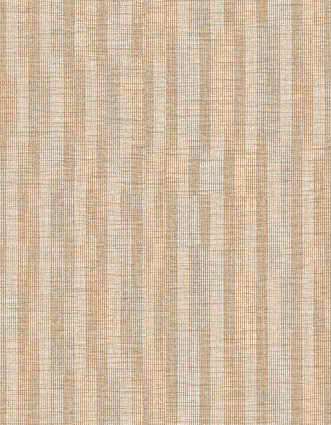 Arte Merino (incl. Gratis Lijm*) 63507 Beige
