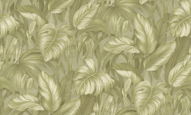 Dutch First Class Voyage (incl. Gratis Lijm*) DB73721 Metallic Groen