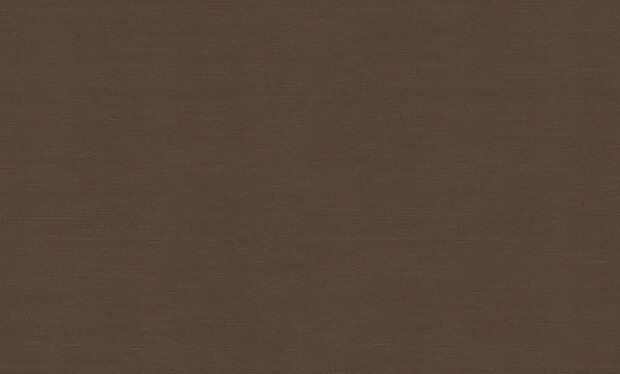 Dutch First Class Voyage (incl. Gratis Lijm*) DB73737 Bruin