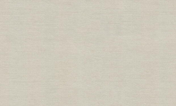 Dutch First Class Voyage (incl. Gratis Lijm*) DB73738 Grijs