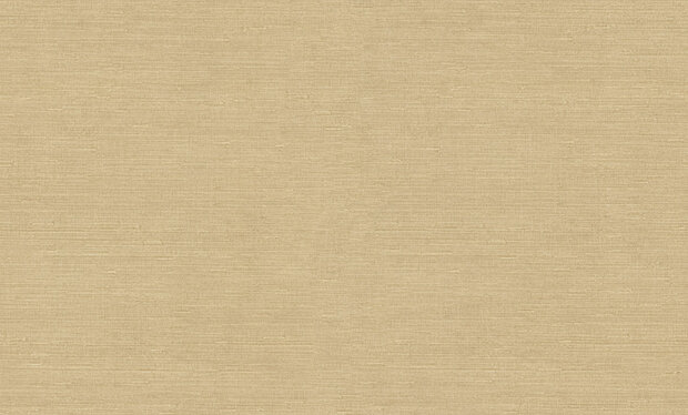 Dutch First Class Voyage (incl. Gratis Lijm*) DB73740 Beige