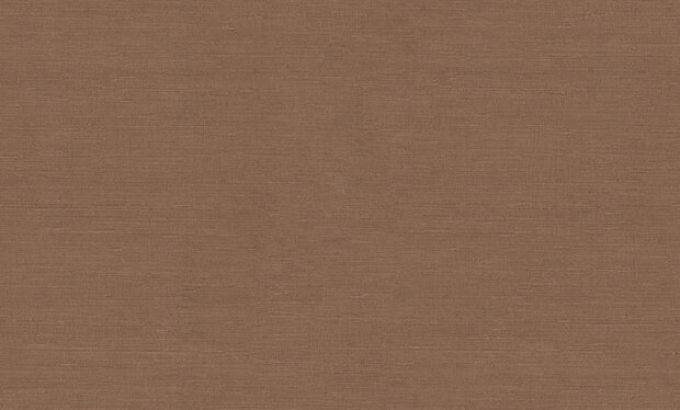 Dutch First Class Voyage (incl. Gratis Lijm*) DB73742 Bruin