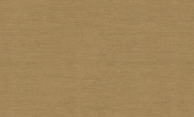 Dutch First Class Voyage (incl. Gratis Lijm*) DB73743 Beige