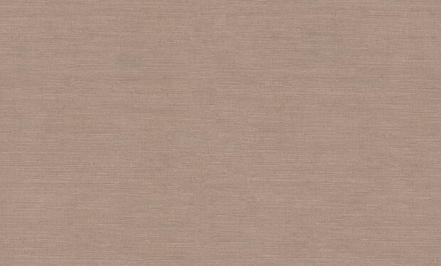 Dutch First Class Voyage (incl. Gratis Lijm*) DB73744 Bruin