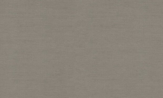 Dutch First Class Voyage (incl. Gratis Lijm*) DB73745 Taupe