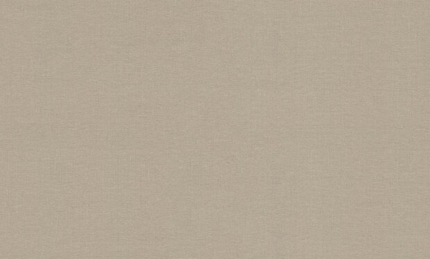 Dutch First Class Voyage (incl. Gratis Lijm*) DB73762 Beige