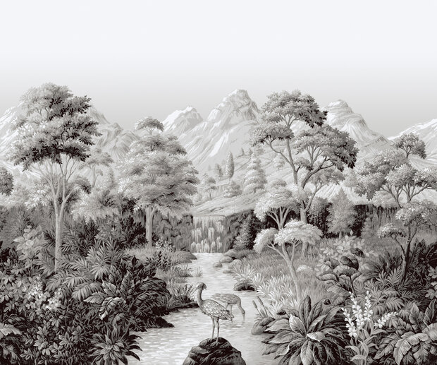 Dutch First Class Designology (incl. Gratis Lijm*) DE01714 - Zwart / wit