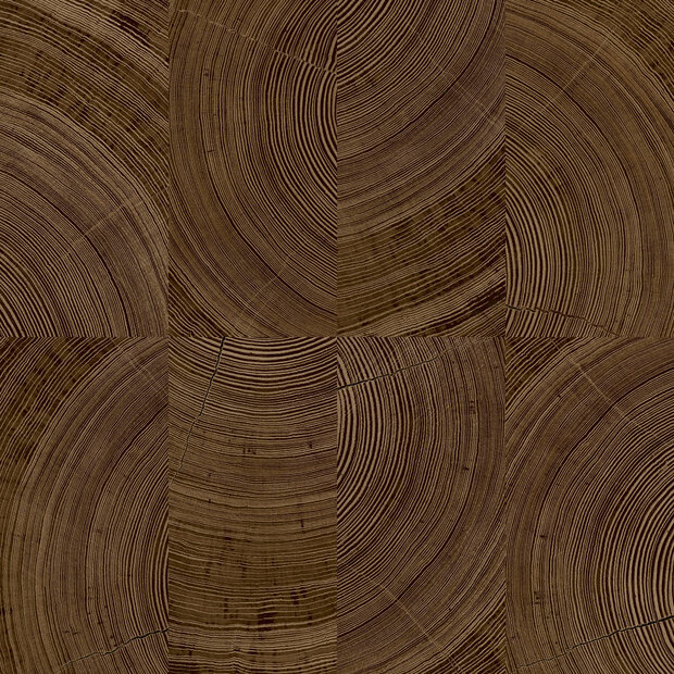 Dutch Wallcoverings Karuna A69103 - Bruin