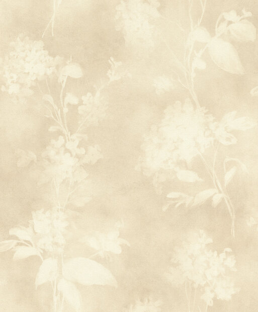 Rasch Florentine IV 481419 - Beige