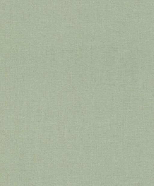 Rasch Florentine III / IV 484588 - Groen