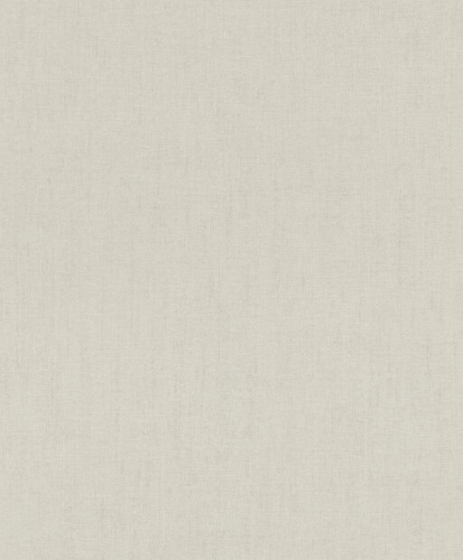 Rasch Florentine IV 484748 - Grijs