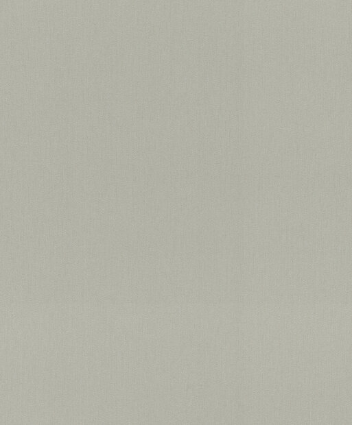 Rasch Amara / Incanto 720167 Grijs