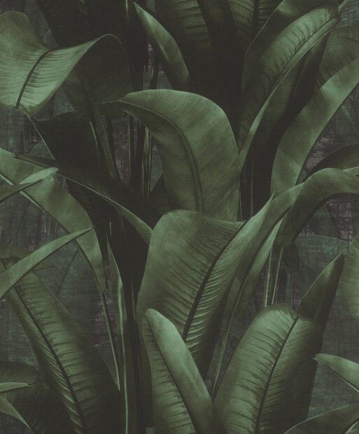 Rasch Back to Nature 416237 - Groen / Zwart