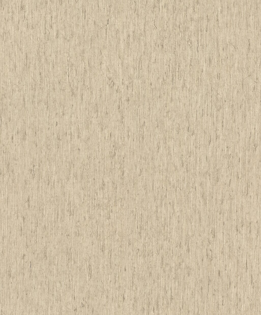 Rasch Back to Nature 571066 - Beige