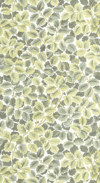 Casadeco Heritage (incl. Gratis Lijm*) HETA201207244 - Groen