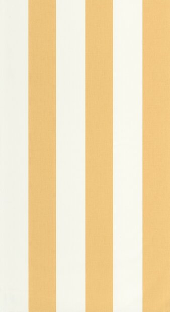 Caselio Line Up (incl. Gratis Lijm*) LNP104042000 - Geel