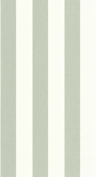 Caselio Line Up (incl. Gratis Lijm*) LNP104047004 - Groen