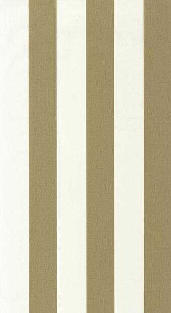 Caselio Line Up (incl. Gratis Lijm*) LNP104047372 - Groen