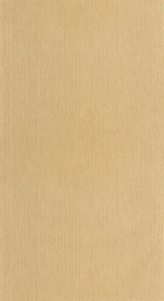 Caselio Borneo (incl. Gratis Lijm*) BORN106011403 - Beige