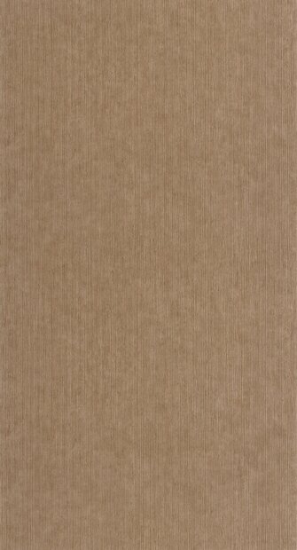 Caselio Borneo (incl. Gratis Lijm*) BORN106012367 - Bruin