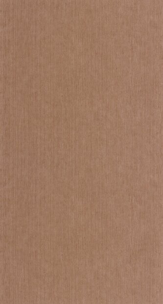 Caselio Borneo (incl. Gratis Lijm*) BORN106012450 - Bruin