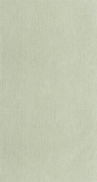 Caselio Borneo (incl. Gratis Lijm*) BORN106017004 - Groen