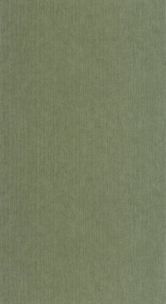 Caselio Borneo (incl. Gratis Lijm*) BORN106017230 - Groen